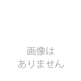 【キャンペーンプレゼント】育毛黒髪シャンプー(400ml)