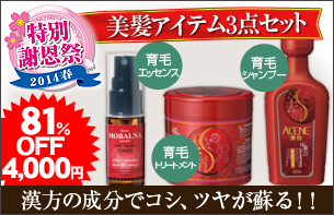 特別謝恩!!完璧髪セット