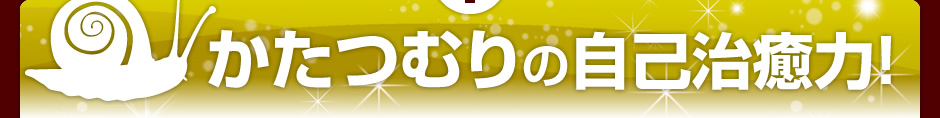 かたつむりの自己治癒力!