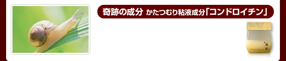 奇跡の成分 かたつむり粘液成分「コンドロイチン」