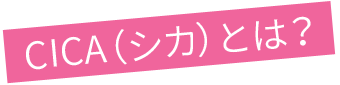 CICAとは？