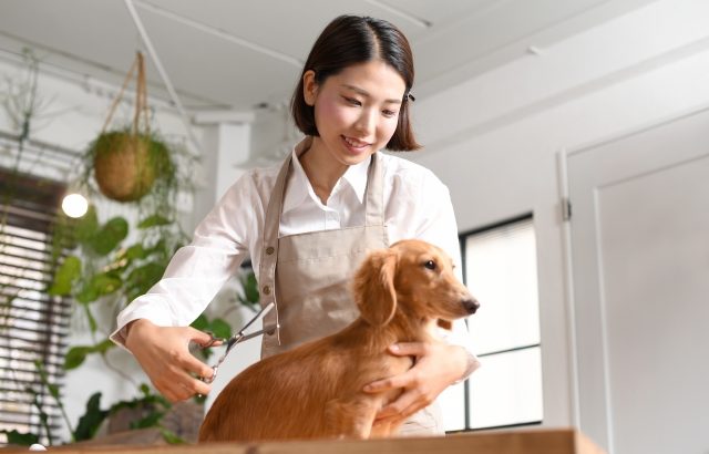 ペットショップで分かる○○女度テスト