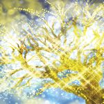 やってみるべきお金を呼び込む方法