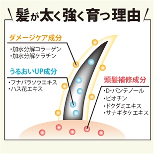 5IN1防脱シャンプー