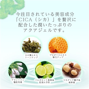 幻のアクアシカ!大容量ジェルクリーム
