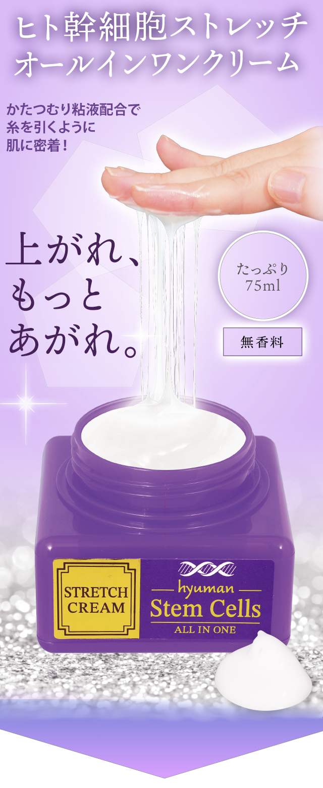 YOU-UP / ヒト幹細胞ストレッチオールインワンクリーム